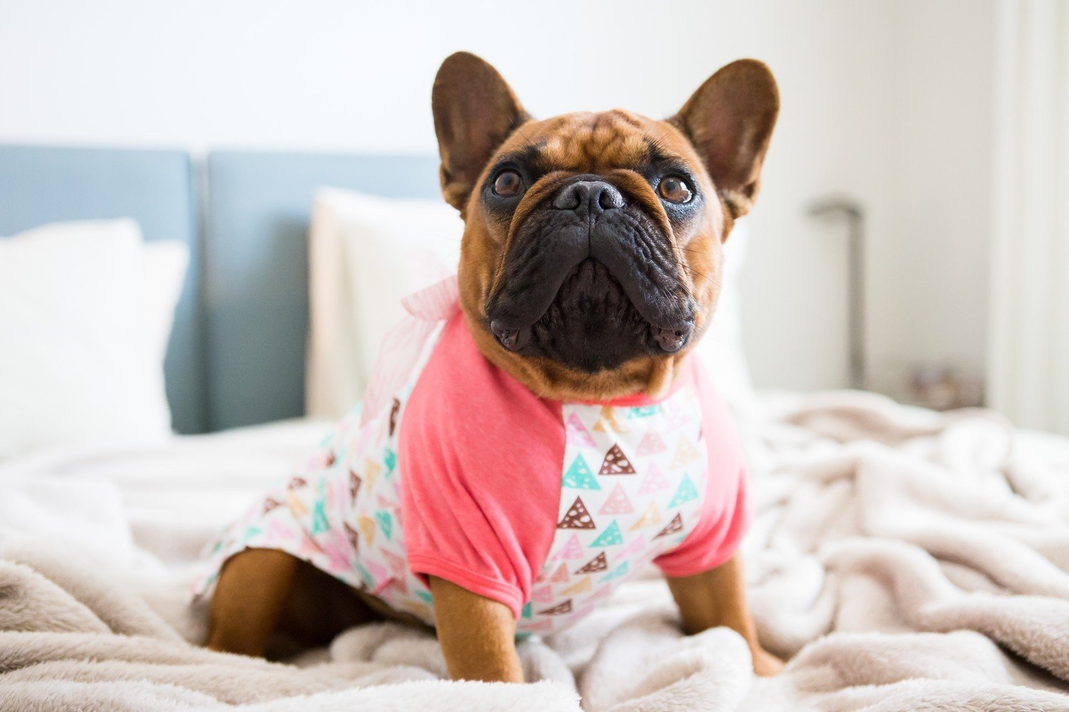 Dog's Life Triangular Geometric Tee Pink - Clothing