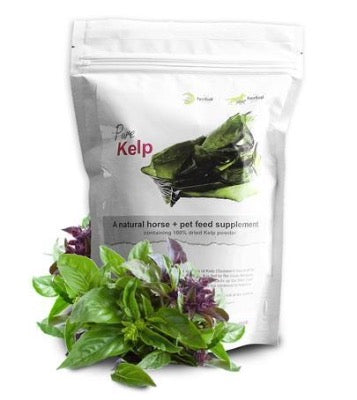 Herbal Pet Dried Kelp - Vitamins and Supplements