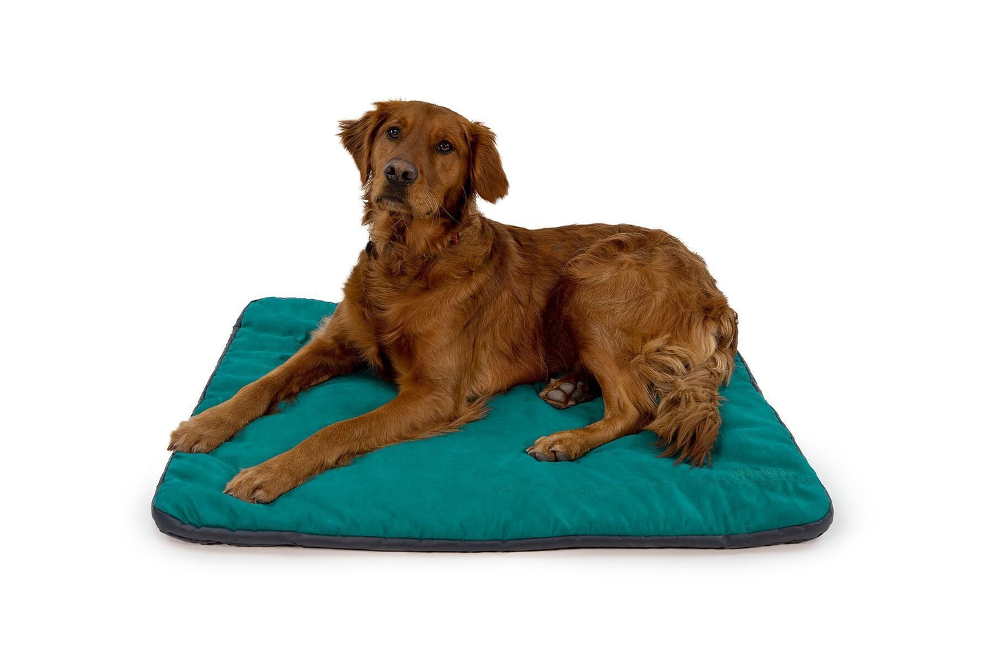 Ruffwear Mt. Bachelor Pad Portable Dog Bed -