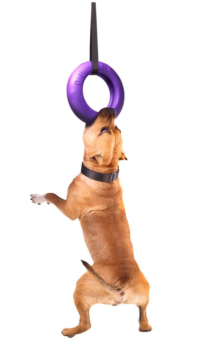 PULLER MAXI (One Ring) - Fetch Toys