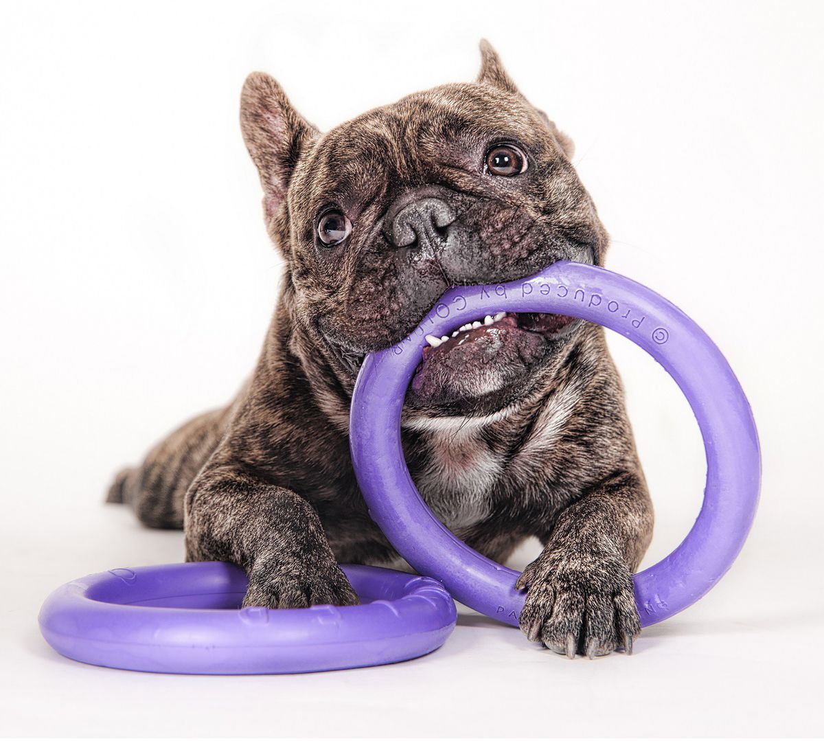 PULLER MICRO (Two Rings) - Fetch Toys