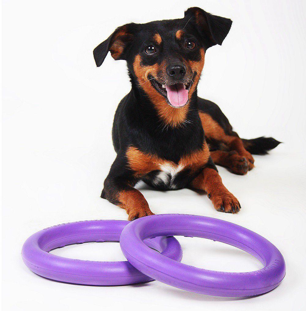 PULLER MINI (Two Rings) - Fetch Toys